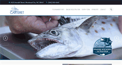 Desktop Screenshot of carteretsmt.com